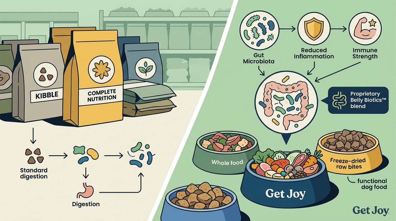 Functional Dog Food vs Regular: Does Your Dog Need It?
