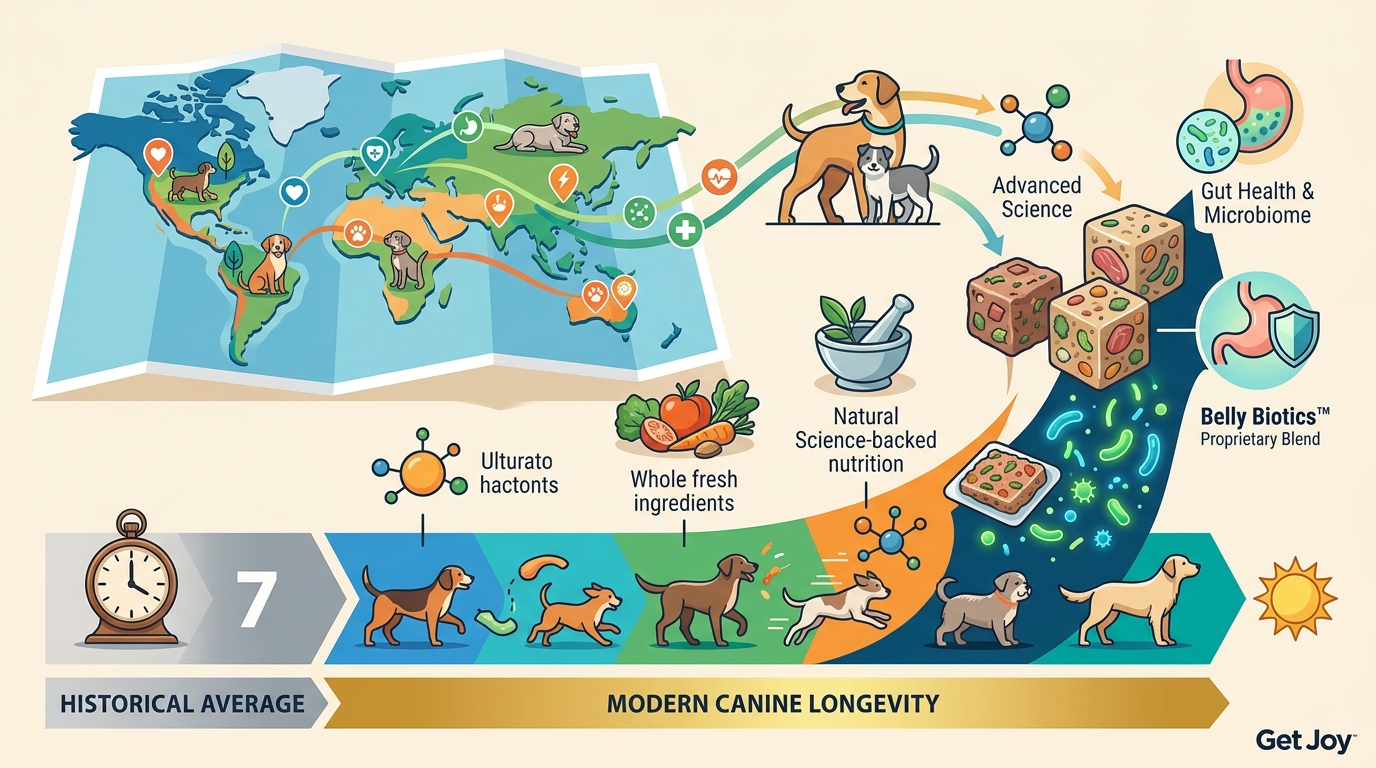 Dog Longevity Secrets: Do Blue Zones Principles Apply to Canines